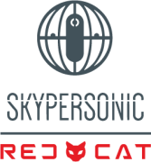 SkypersonicAndRedCatVertical